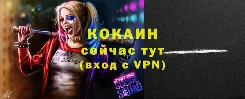 COCAIN Fish Scale  blacksprut как войти  Улан-Удэ 