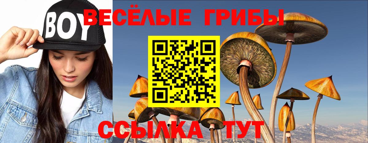 Псилоцибиновые грибы GOLDEN TEACHER Улан-Удэ
