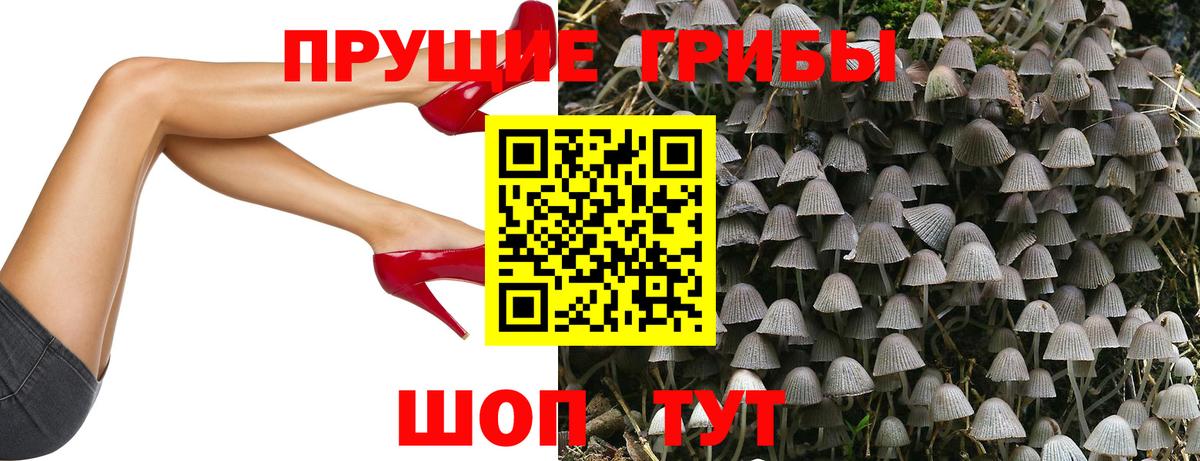 Улан-Удэ  Галлюциногенные грибы MAGIC MUSHROOMS  Вход с VPN 